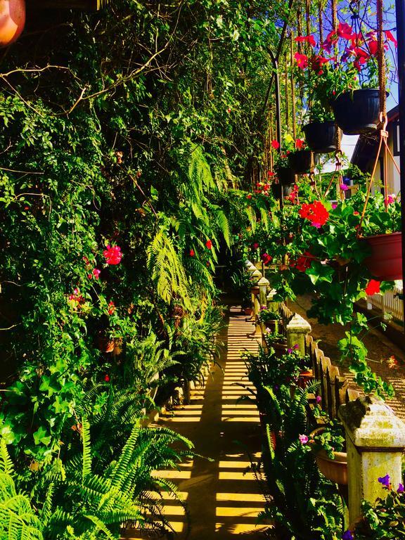 נוארה אליה Heidi'S Home מראה חיצוני תמונה