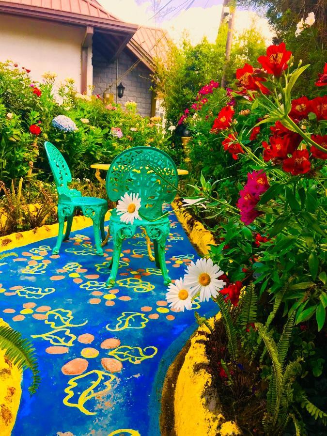 נוארה אליה Heidi'S Home מראה חיצוני תמונה