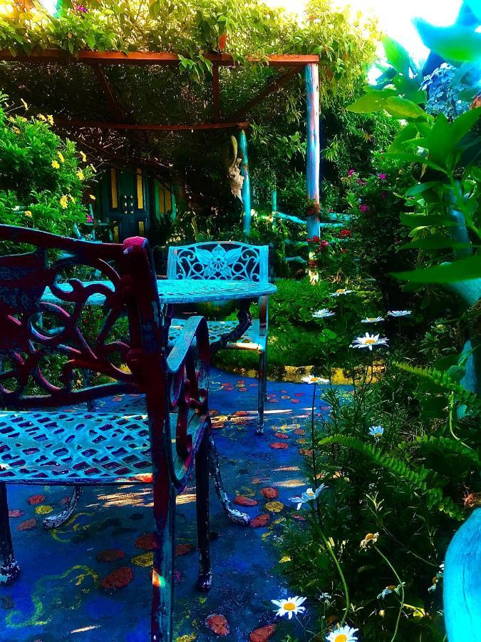 נוארה אליה Heidi'S Home מראה חיצוני תמונה
